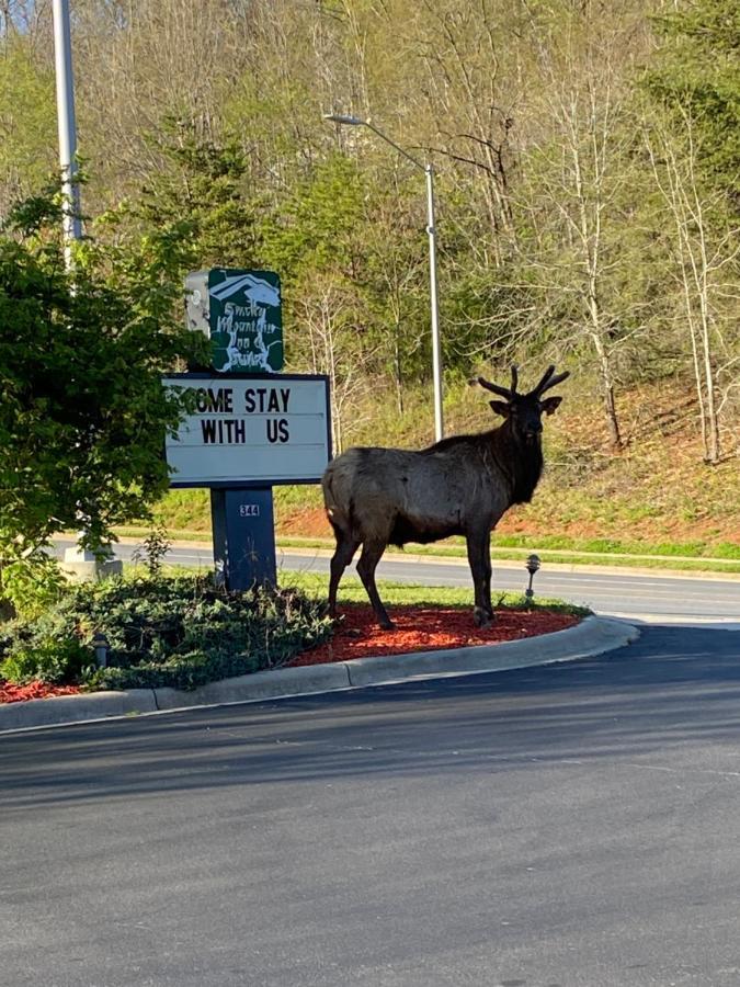 Smoky Mountain Inn & Suites Cherokee Exterior foto